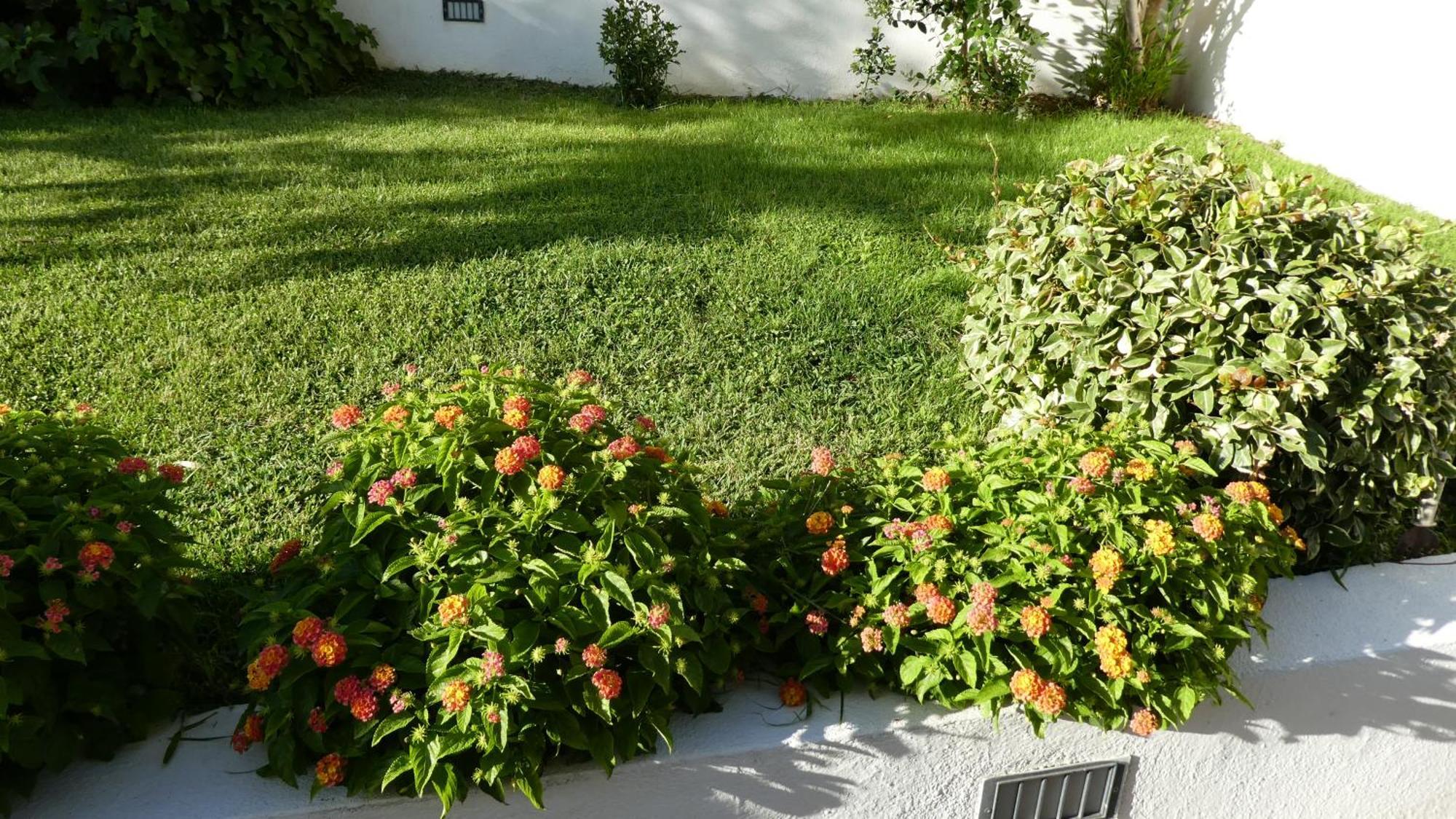 B&B Oliena Exterior photo