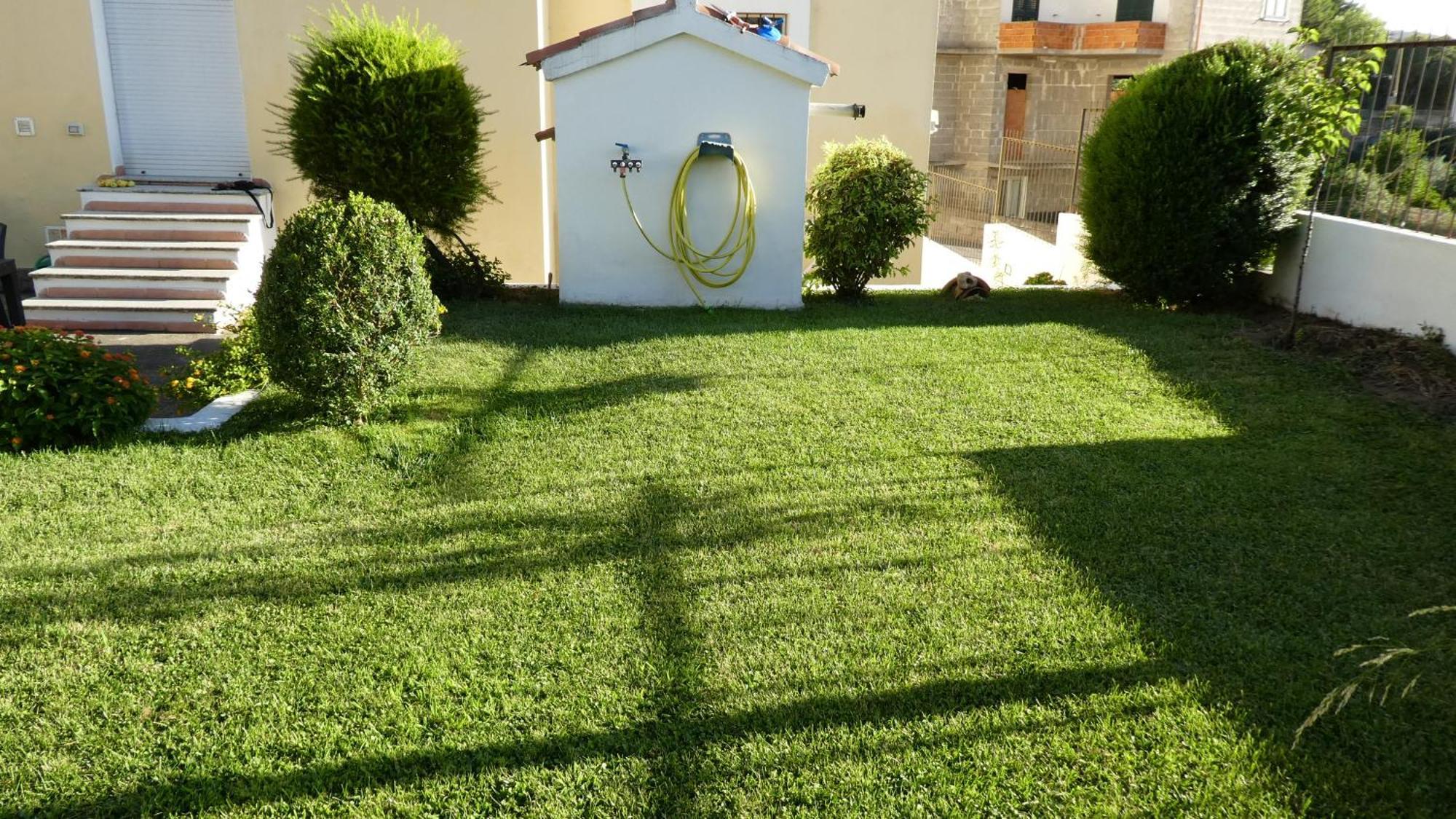 B&B Oliena Exterior photo